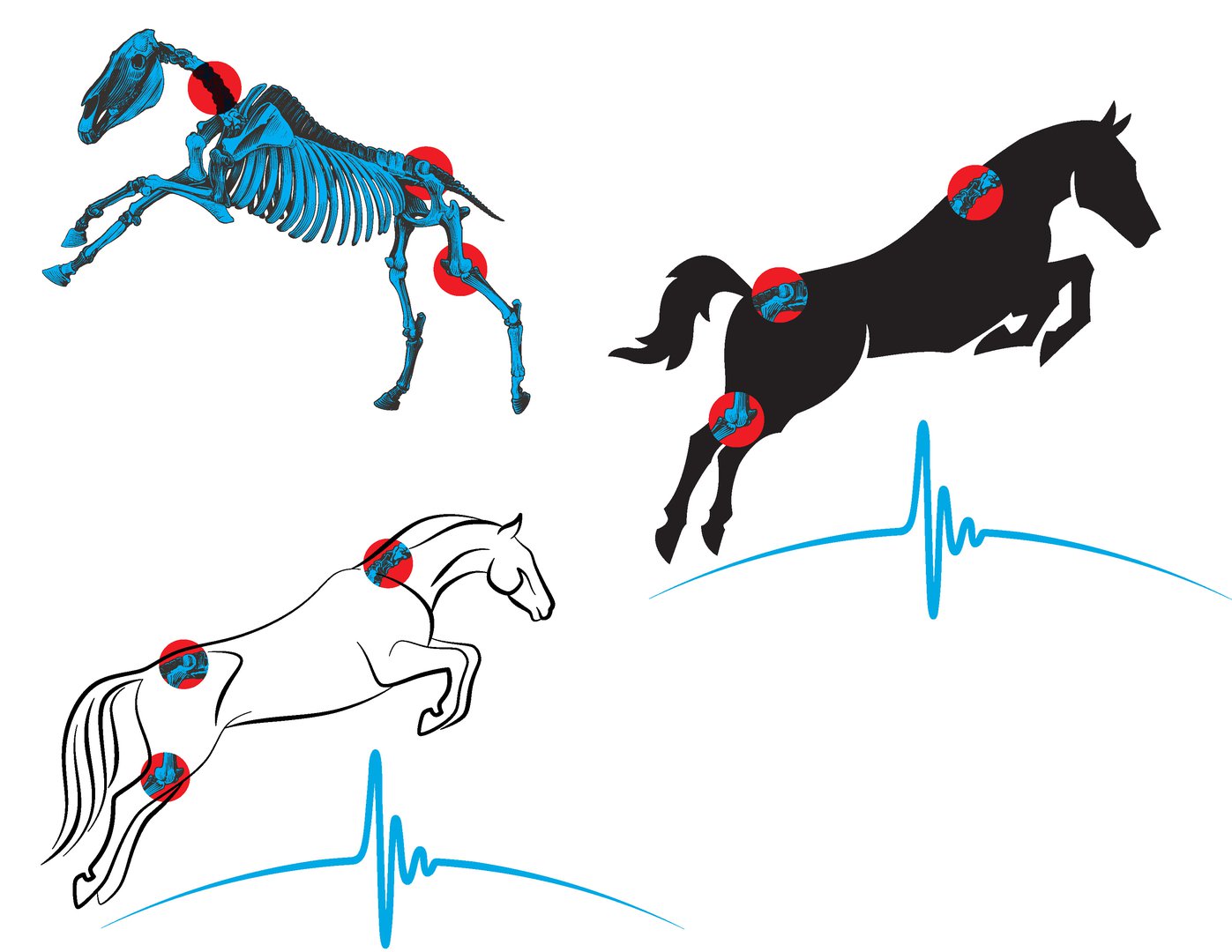 Equine Sports Medicine logo concepts