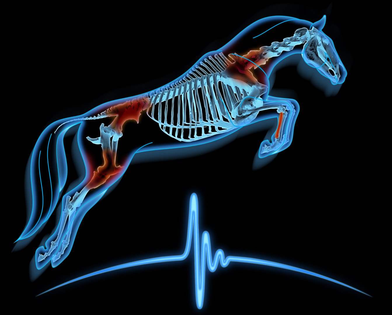 Equine Sports Medicine logo