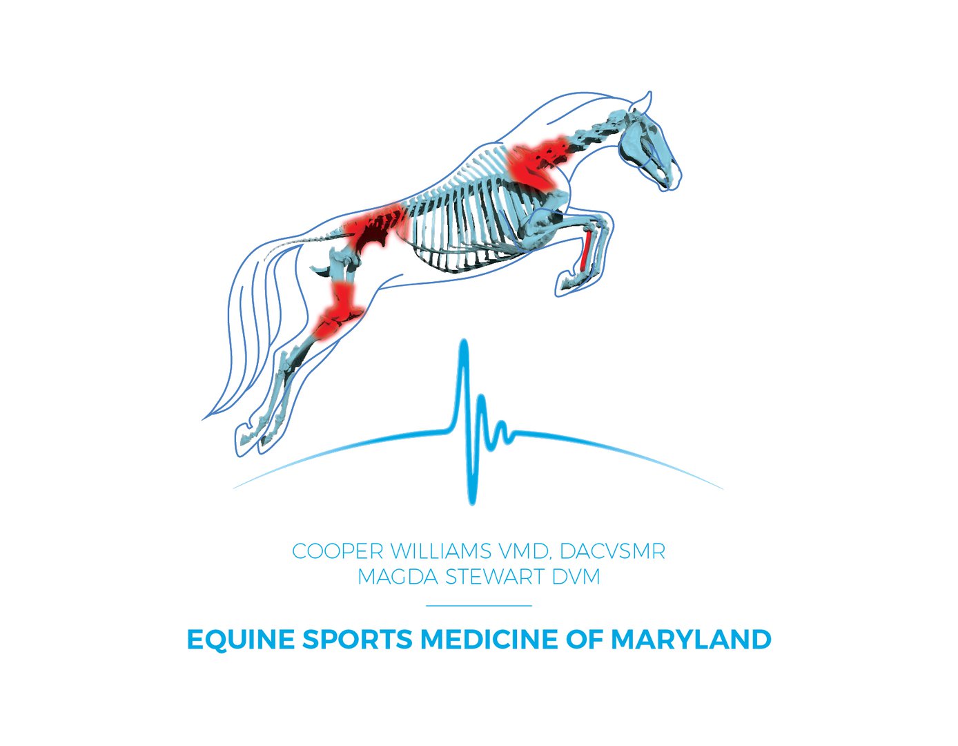 Equine Sports Medicine logo with type