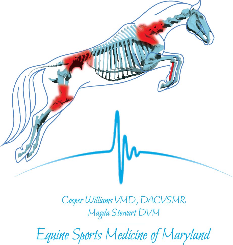 Equine Sports Medicine of Maryland