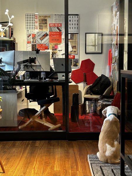 Abby at VNM office