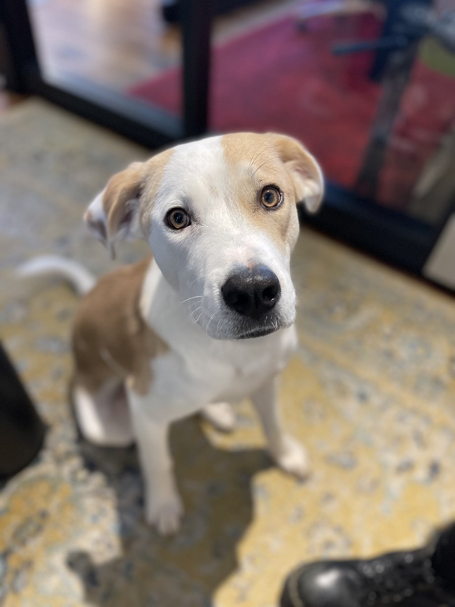 Abby joins VNM HR Team
