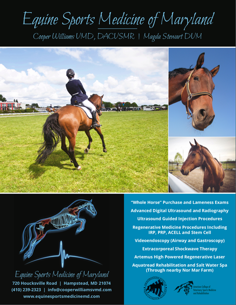 Equine Sports Medicine of Maryland Ad