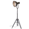 Industrial Floor Lamp