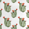 Cactus Print