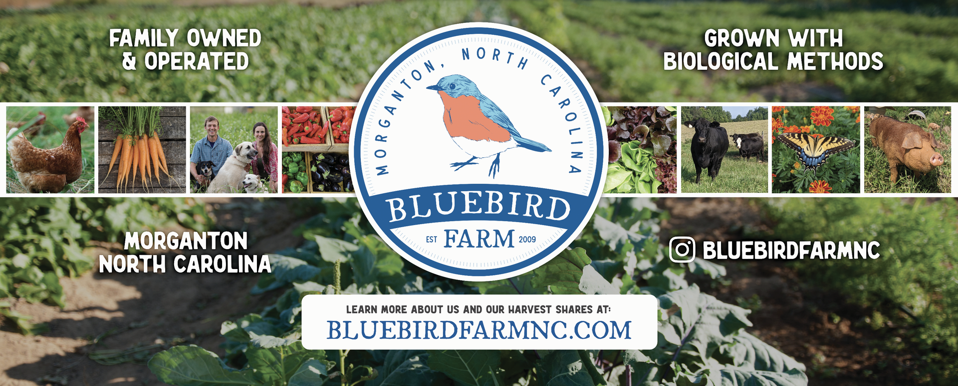 Bluebird Farm Rebrand