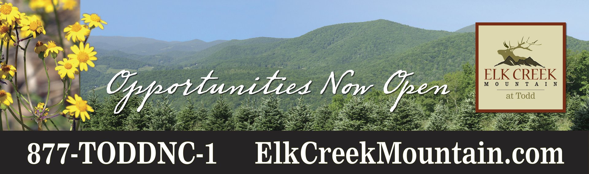 Elk Creek Billboard